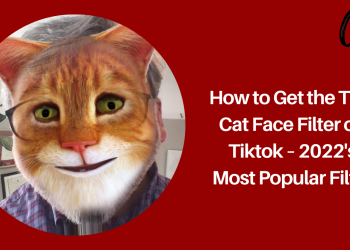 how-to-get-the-tiny-cat-face-filter-on-tiktok-–-2022's-most-popular-filter-–-crossover-99