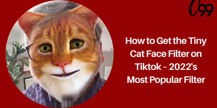 how-to-get-the-tiny-cat-face-filter-on-tiktok-–-2022's-most-popular-filter-–-crossover-99