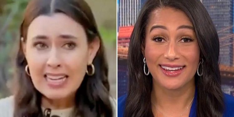 taylor-lorenz-slams-msnbc's-morgan-radford-over-'abuse'-segment