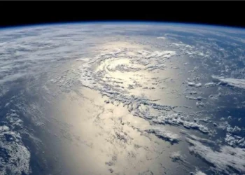 send-whatsapp-messages,-stickers,-gifs-to-celebrate-world-ozone-day-2022-know-how-|-how-to