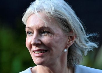 nadine-dorries-has-deleted-her-twitter-account-and-the-internet-is-in-mourning-|-indy100