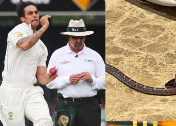 legends-league-cricket:-mitchell-johnson-finds-snake-in-his-hotel-room,-shares-picture-on-instagram