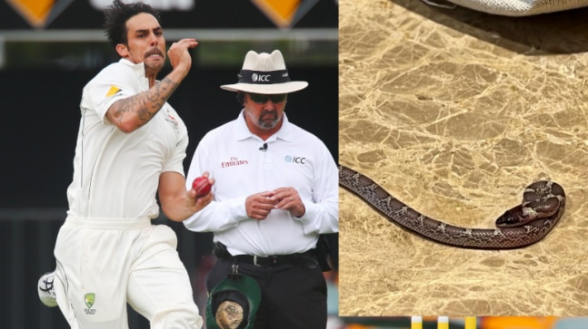 legends-league-cricket:-mitchell-johnson-finds-snake-in-his-hotel-room,-shares-picture-on-instagram