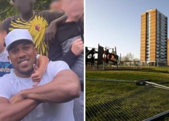chaos-as-anthony-joshua-fans-'terrorised'-meriden-residents-|-watford-observer