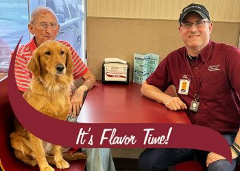 meet-holly:-the-service-dog-who-only-eats-stewart's-ice-cream!