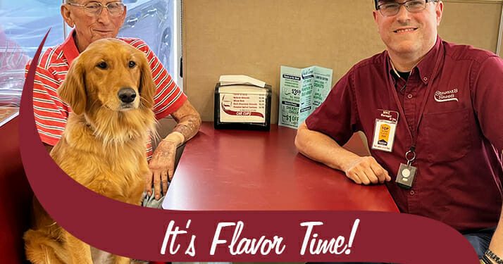 meet-holly:-the-service-dog-who-only-eats-stewart's-ice-cream!
