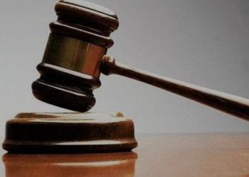 lloyd-town-justice-terry-b.-elia-censured-by-state-over-linkedin-posts-and-role-in-ulster-…