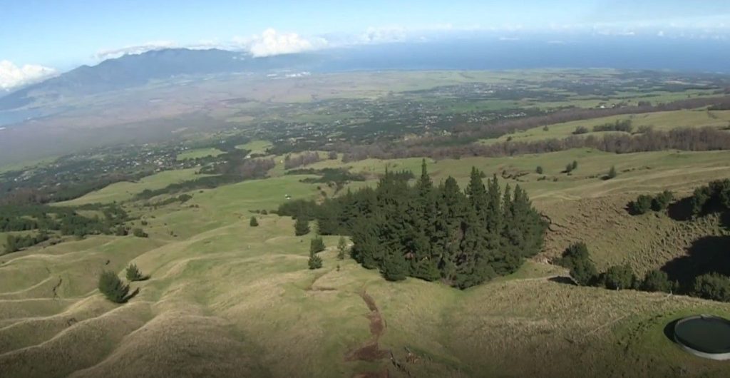 10/11/22-–-input-sought-for-management-of-kamehamenui-forest-reserve-on-maui