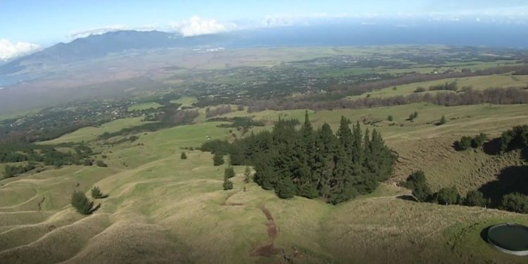 10/11/22-–-input-sought-for-management-of-kamehamenui-forest-reserve-on-maui
