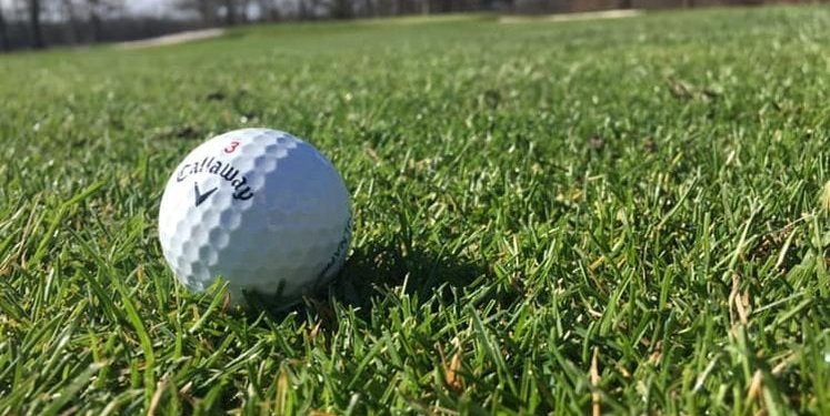mercer-county-golfers-in-striking-distance-after-day-one-of-indi-–-wfmj.com