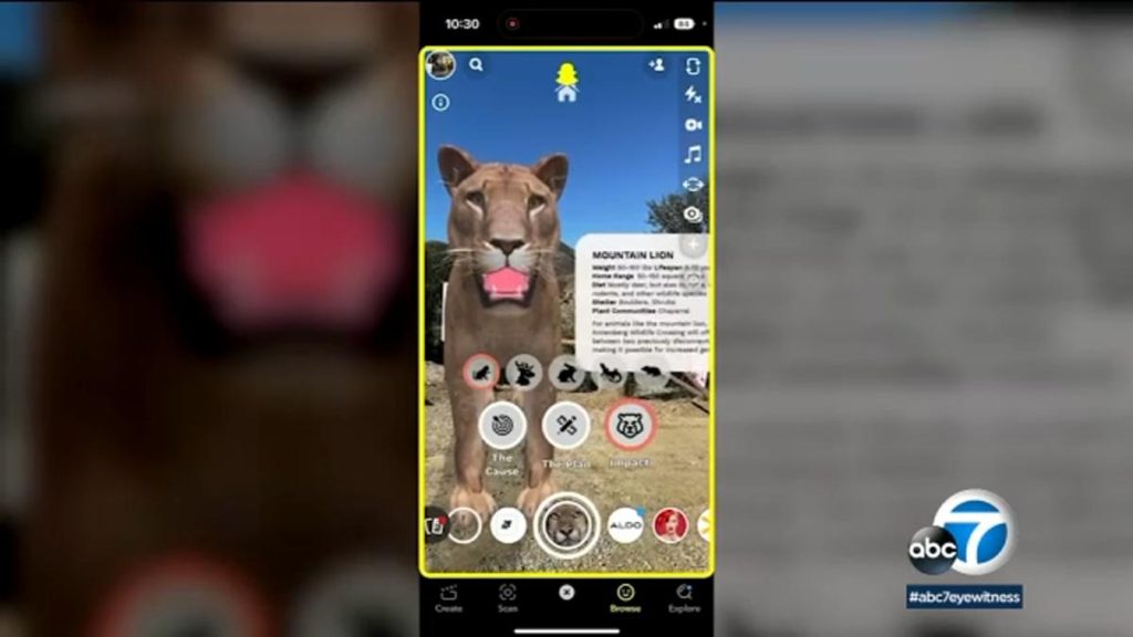 snapchat-offers-vr-experience-for-wildlife-crossing-over-101-fwy-–-yahoo-news