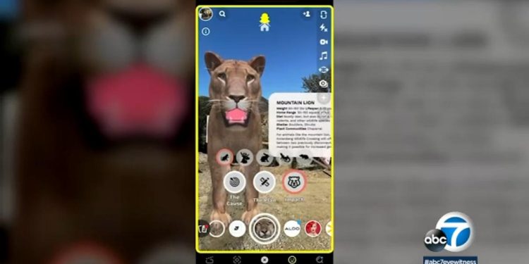 snapchat-offers-vr-experience-for-wildlife-crossing-over-101-fwy-–-yahoo-news