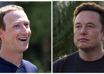 meta-and-google-snap-up-twitter-staff-amid-musk-limbo-–-business-insider