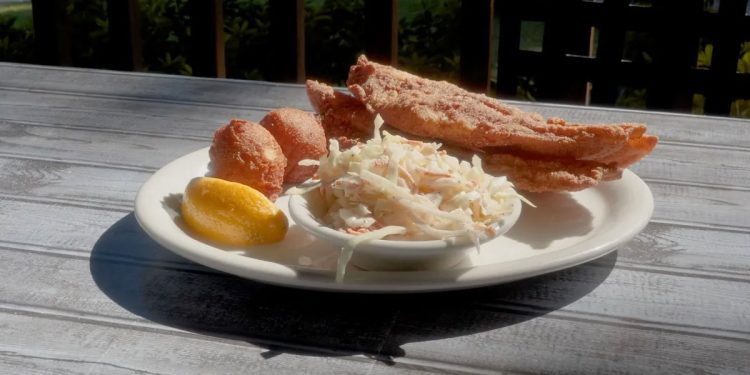 this-fried-catfish-is-one-of-100-dishes-to-eat-in-alabama-–-yellowhammer-news