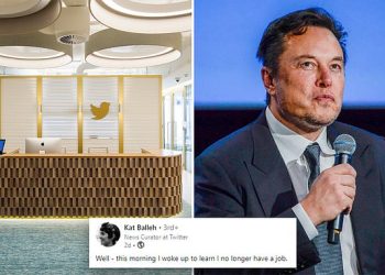 linkedin-posts-from-australian-twitter-staff-after-elon-musk's-global-staff-bloodbath