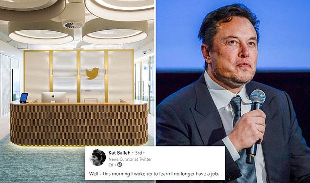 linkedin-posts-from-australian-twitter-staff-after-elon-musk's-global-staff-bloodbath