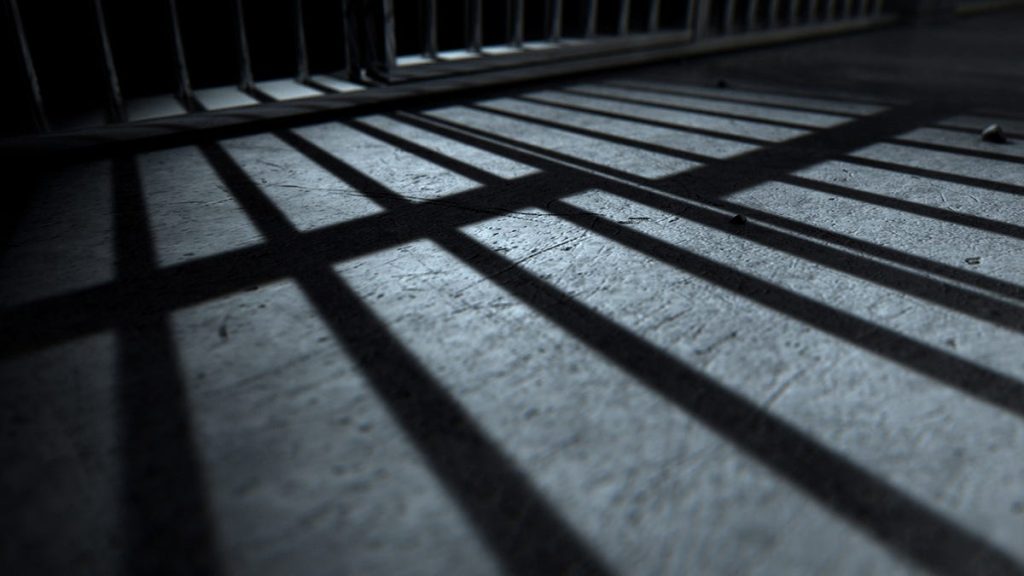 michigan-'serial-abuser'-sentenced-to-11-years-in-prison-–-detroit-news