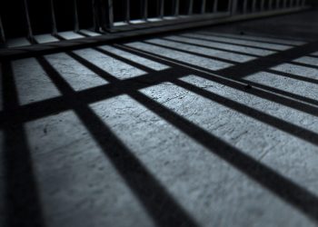 michigan-'serial-abuser'-sentenced-to-11-years-in-prison-–-detroit-news