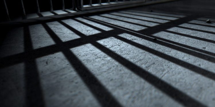 michigan-'serial-abuser'-sentenced-to-11-years-in-prison-–-detroit-news
