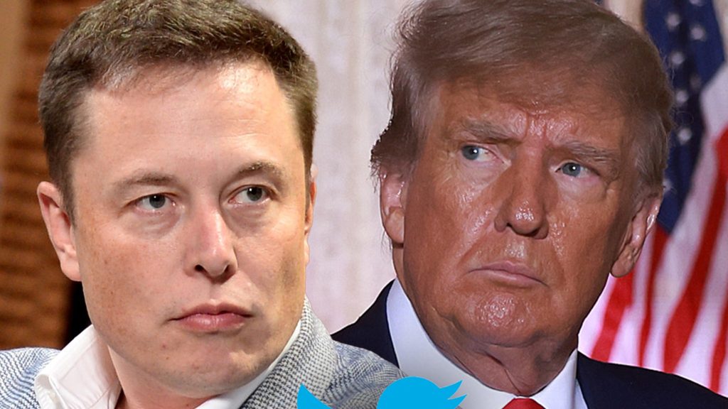 elon-musk-asks-twitter-users-to-vote-on-bringing-back-donald-trump's-account-–-tmz
