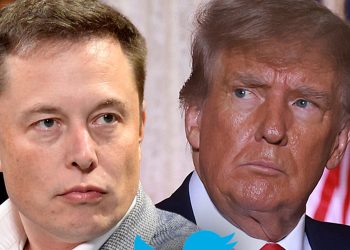 elon-musk-asks-twitter-users-to-vote-on-bringing-back-donald-trump's-account-–-tmz