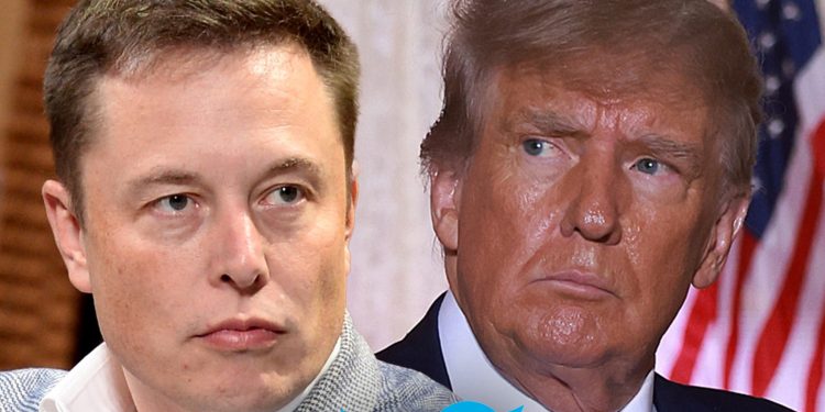 elon-musk-asks-twitter-users-to-vote-on-bringing-back-donald-trump's-account-–-tmz