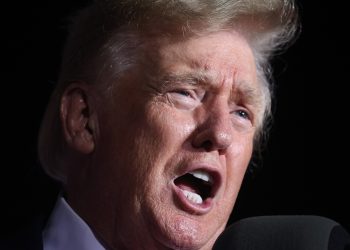 elon-musk-lets-donald-trump-back-on-twitter-–-variety