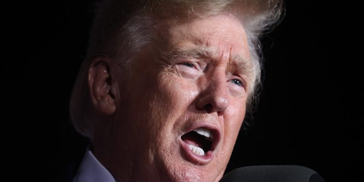 elon-musk-lets-donald-trump-back-on-twitter-–-variety