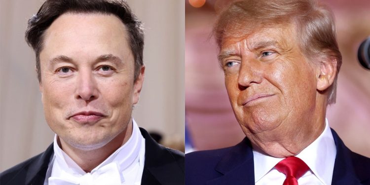 elon-musk-restores-donald-trump's-twitter-account-after-online-poll