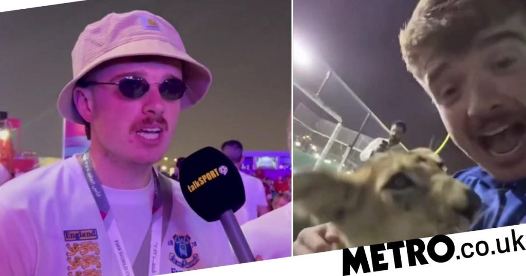 england-fans-claim-they-partied-with-qatari-sheikh's-son-and-petted-a-lion-cub-–-metro-uk