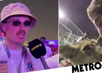 england-fans-claim-they-partied-with-qatari-sheikh's-son-and-petted-a-lion-cub-–-metro-uk