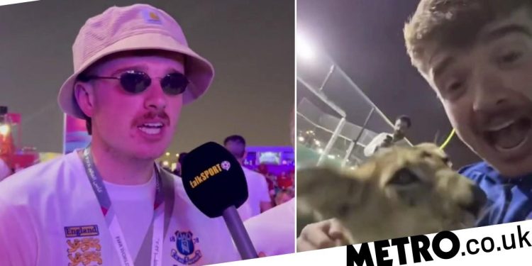 england-fans-claim-they-partied-with-qatari-sheikh's-son-and-petted-a-lion-cub-–-metro-uk