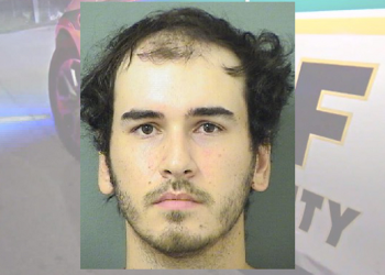 man-charged-with-5-counts-of-possessing-child-pornography-–-wpec