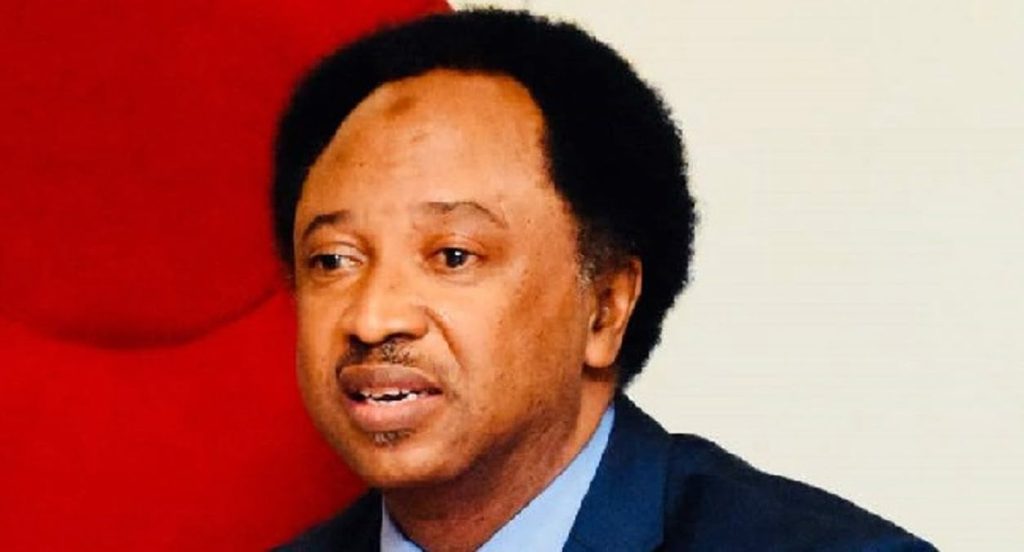 new-naira-notes:-if-it's-colour,-cbn-should-have-just-engaged-snapchat-–-shehu-sani