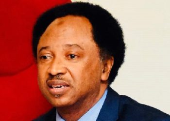 new-naira-notes:-if-it's-colour,-cbn-should-have-just-engaged-snapchat-–-shehu-sani