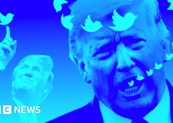 why-donald-trump-isn't-returning-to-twitter-(for-now)-–-bbc-news