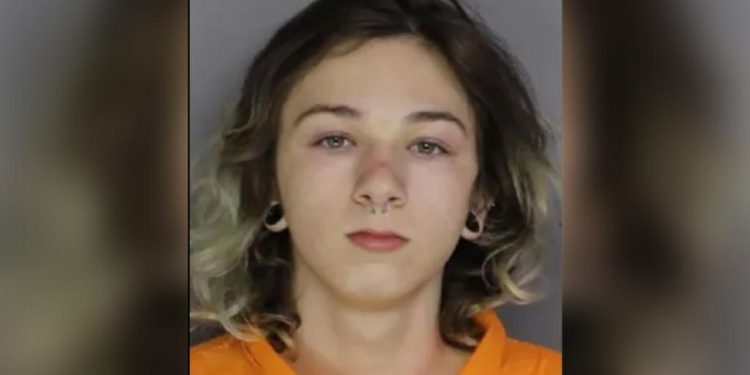 teen,-16,-charged-with-murder-after-taking-to-instagram-for-help-disposing-of-body