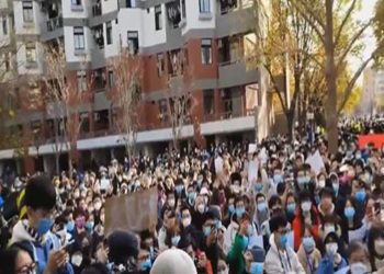 overseas-chinese-step-up-protests-as-calls-mount-for-change-|-education-–-devdiscourse
