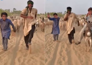 shepherd-wins-hearts-with-his-dance-moves-on-this-popular-bollywood-song-–-watch-viral-video