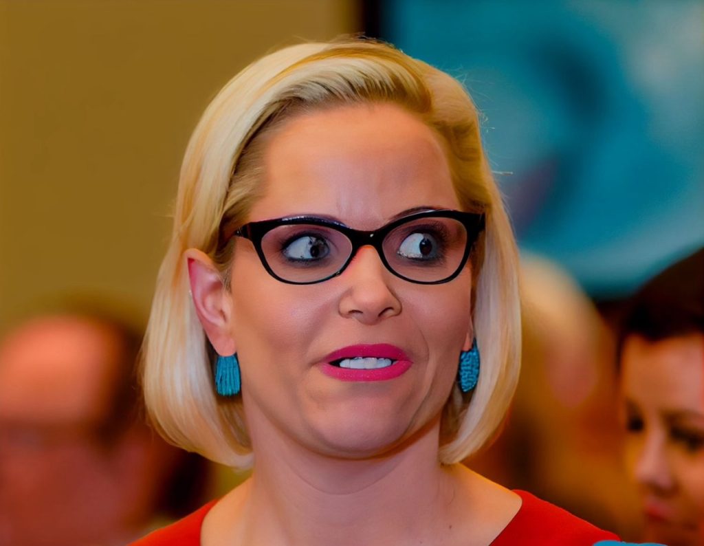 kyrsten-sinema:-senator,-and-…-facebook-marketplace-re-seller?