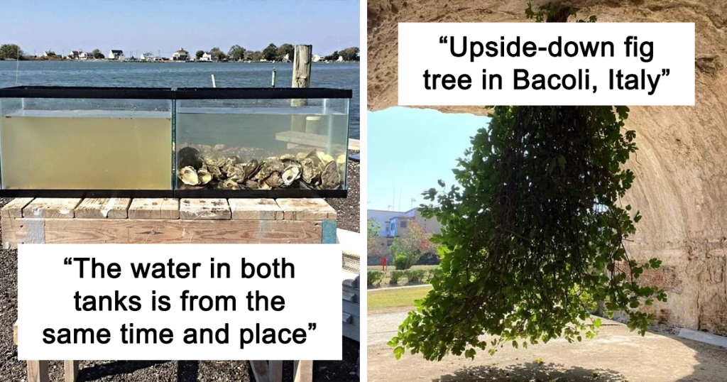 50-new-interesting-discoveries-around-the-world,-shared-on-this-facebook-page-…-–-bored-panda