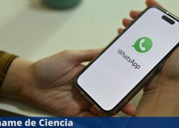 the-new-whatsapp-feature-that-everyone-has-been-waiting-for-has-arrived-–-ensename-de-ciencia