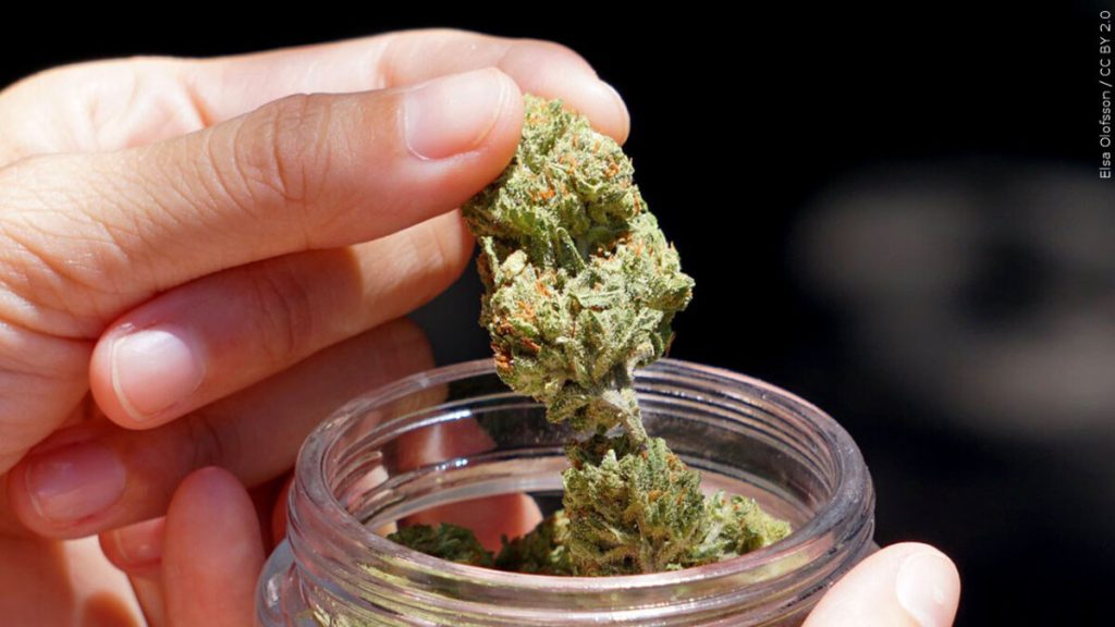 mn-dfl-lawmakers-vowing-action-on-legalizing-recreational-cannabis-–-lakeland-pbs