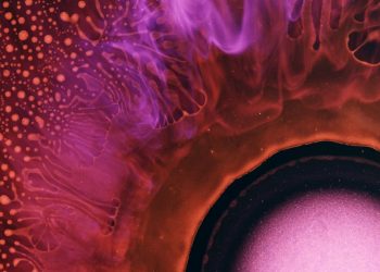 photographer-captures-the-energetic-world-of-chemical-reactions-in-macro-|-petapixel