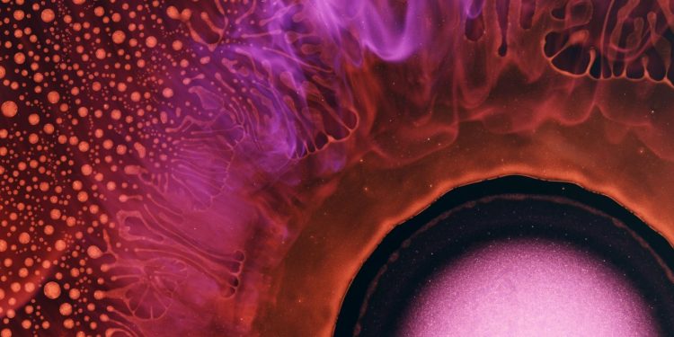 photographer-captures-the-energetic-world-of-chemical-reactions-in-macro-|-petapixel