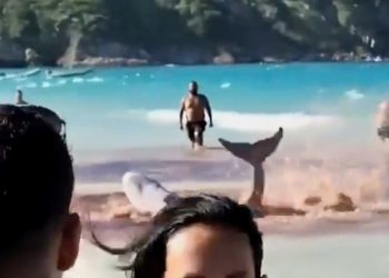 watch:-jaws-like-panic-grips-beachgoers,-who-flee-surf-in-terror-–-usa-today's-ftw