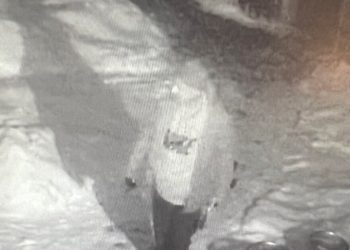 thieves-steal-$10,000-worth-of-food,-beer-from-boulder-restaurant-–-denver7