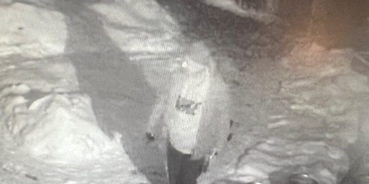 thieves-steal-$10,000-worth-of-food,-beer-from-boulder-restaurant-–-denver7