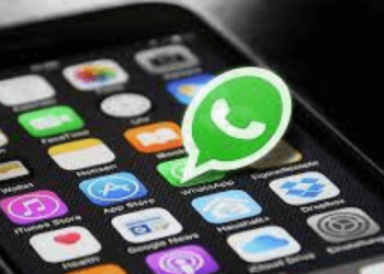 whatsapp-unveils-'message-yourself'-feature-to-its-users-–-–-businessday.ng