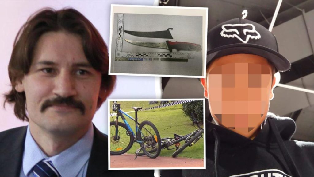 bull-creek-murder:-snapchat-of-teen-accused-of-killing-petr-levkovskiy-bragging-about-…